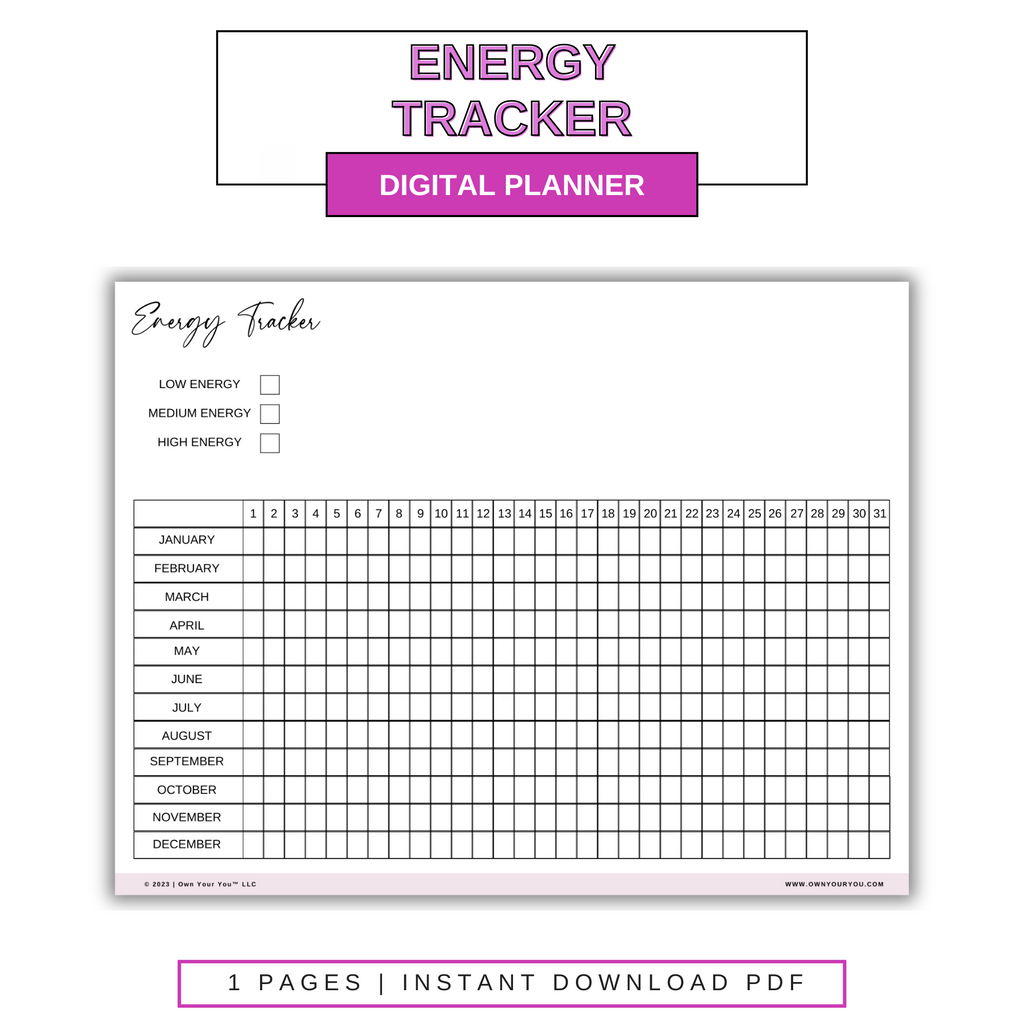 Digital Personal Energy Level Tracker