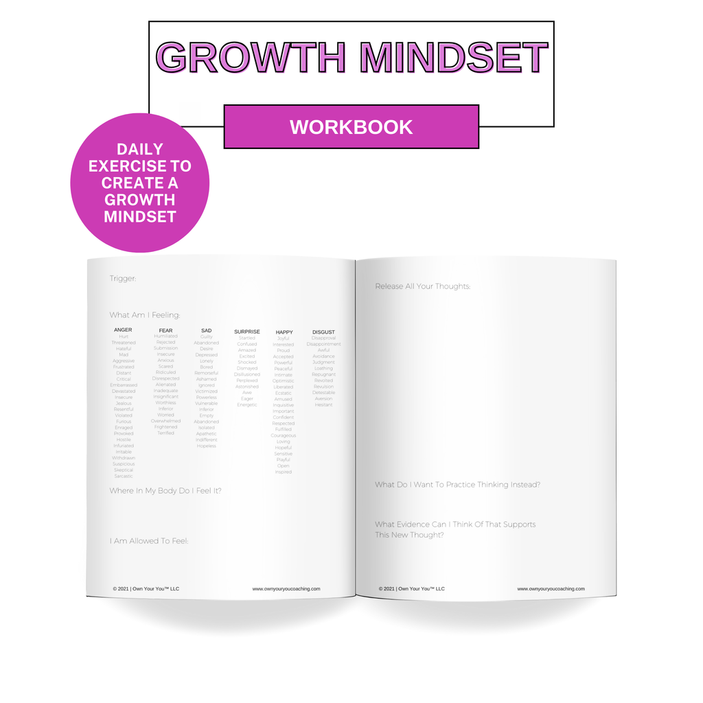 Own Your Mindset Journal